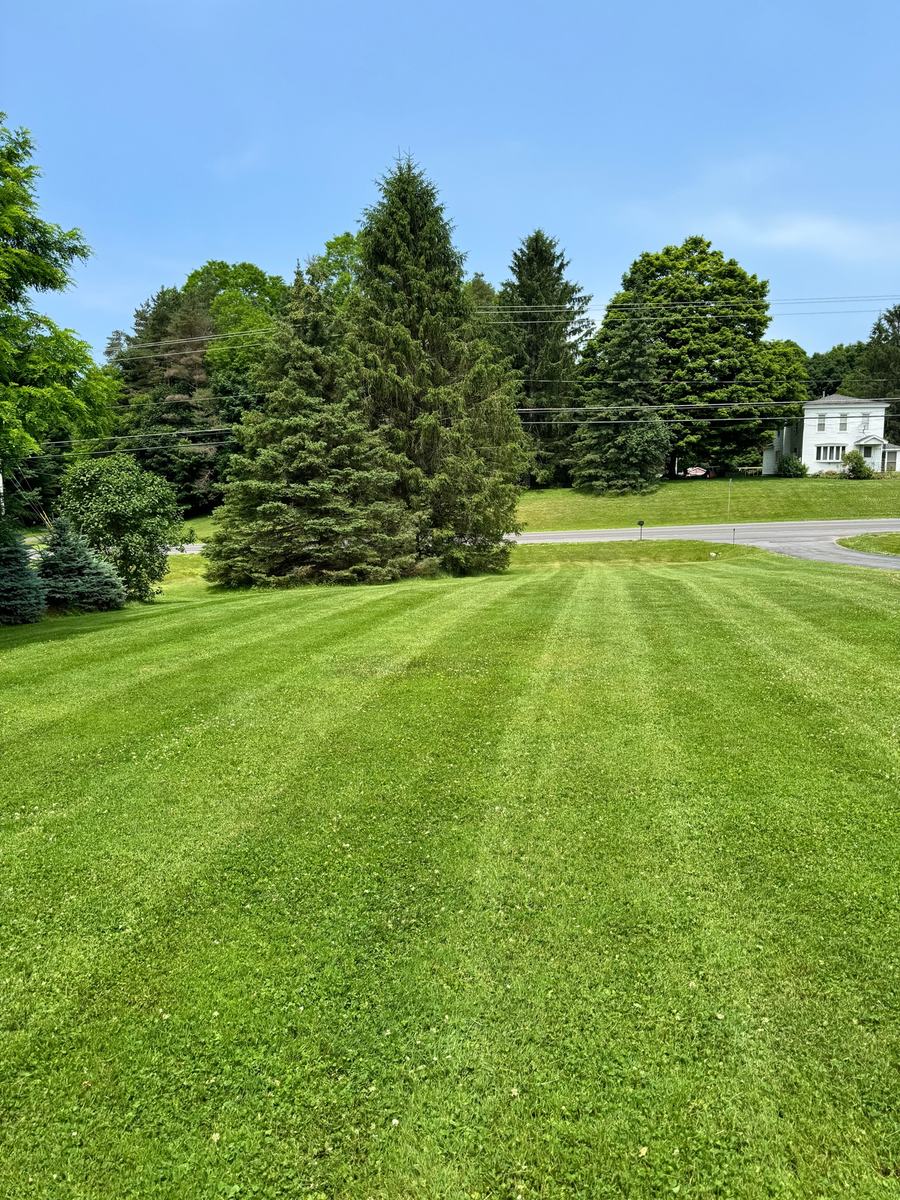 Freshly mowed lawn completed by North Country